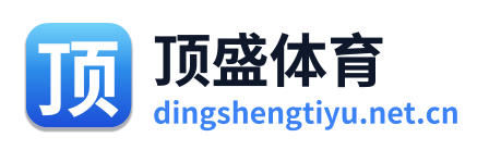 顶盛体育 Logo